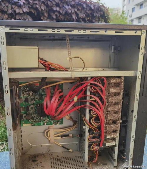 廢品站的意外寶藏 15元換來(lái)的八硬盤(pán)電腦主機(jī)探秘